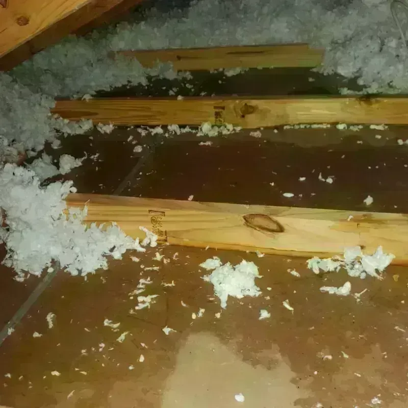 Attic Water Damage in Coahoma County, MS